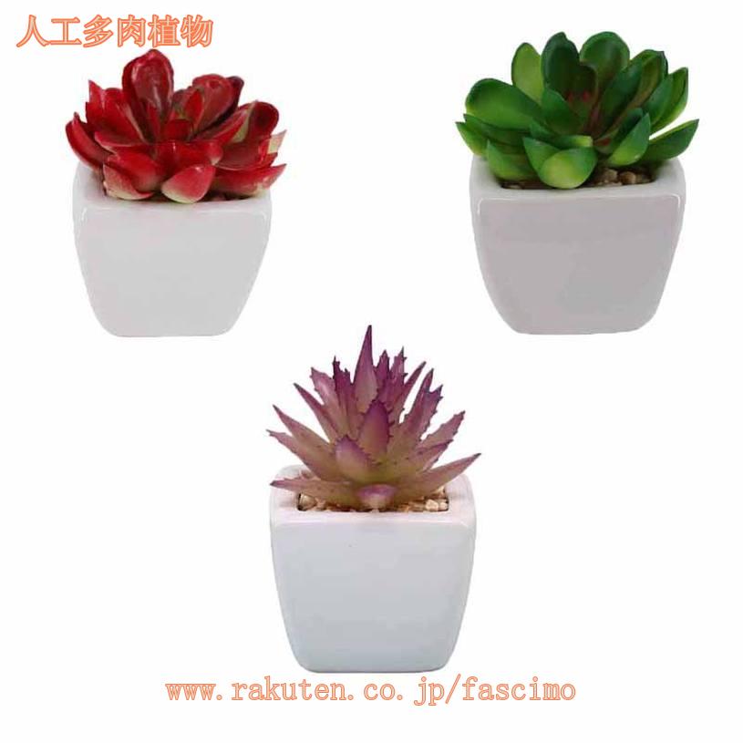 5個セット 人工多肉植物 ミニ鉢植え ポット付き シミュレーション植物 フェイクグリーン ミニ鉢植え モダン デスクトップオーナメント 卓上飾り インテリア装飾 バレンタインデー ミニ盆栽 お世話不要 ギフト プレゼント 贈り ミニ観葉植物 人工観葉植物 ミニ多肉植物 2