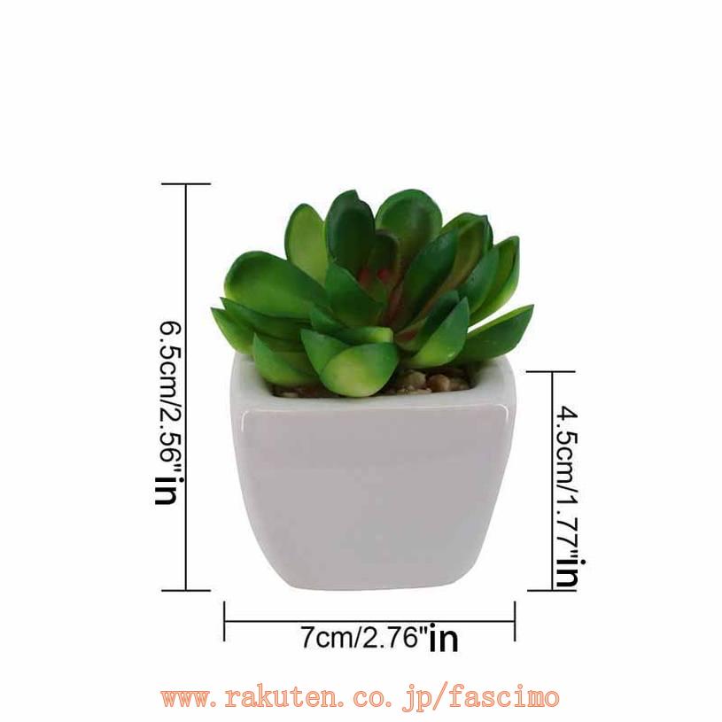 5個セット 人工多肉植物 ミニ鉢植え ポット付き シミュレーション植物 フェイクグリーン ミニ鉢植え モダン デスクトップオーナメント 卓上飾り インテリア装飾 バレンタインデー ミニ盆栽 お世話不要 ギフト プレゼント 贈り ミニ観葉植物 人工観葉植物 ミニ多肉植物 3