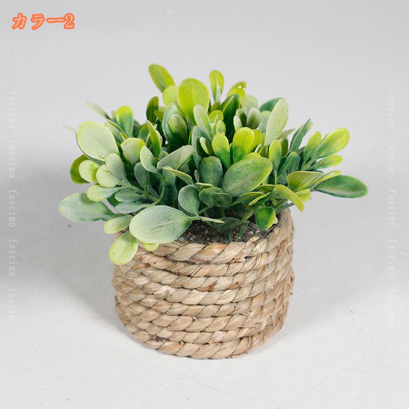 300円OFFクーポン 2個セット 人工観葉植物 ミニ鉢植え フェイクグリーン かわいい ...