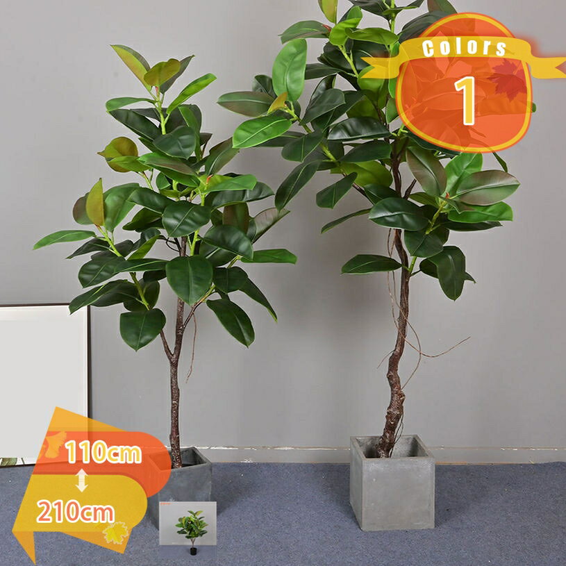 樂天商城 - フェイクグリーン ゴムの木 リアル 人工観葉植物 観葉樹 フェイクツリー 大型 造花 インテリア 室内 オフィス おしゃれ 装飾 幸運の木 お手入れ簡単 水やり不要 虫害の心配なし ホーム 玄関 キッチン 屋内 飾り プレゼント用 fascimo