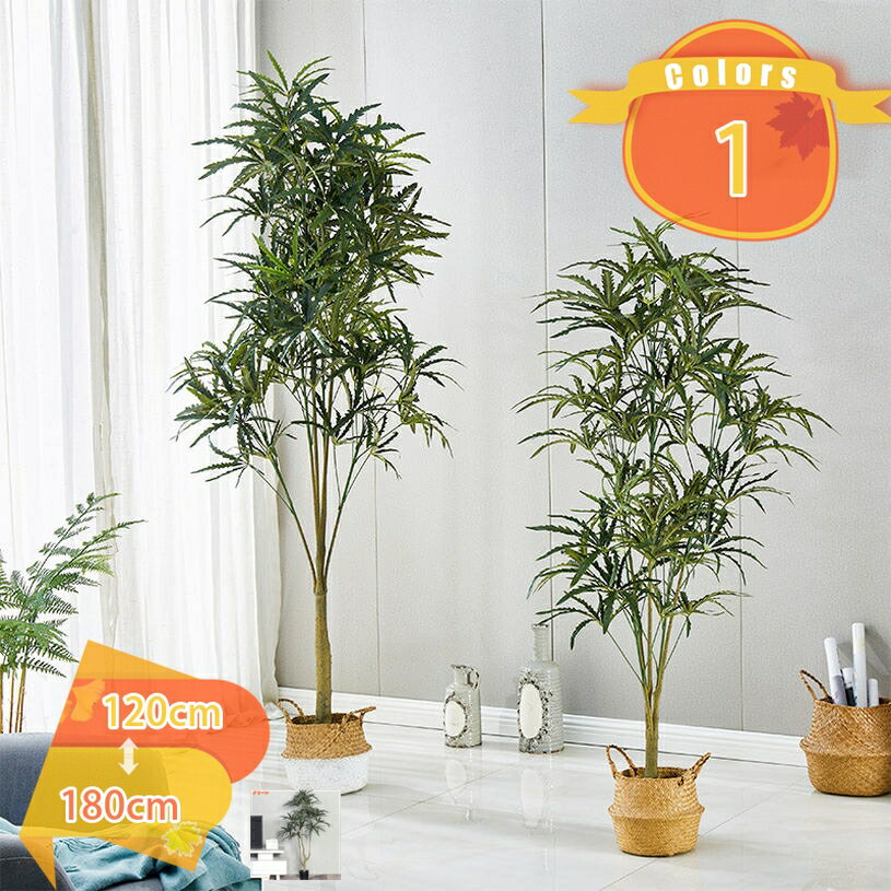 2000円OFFクーポンシェフレラ...