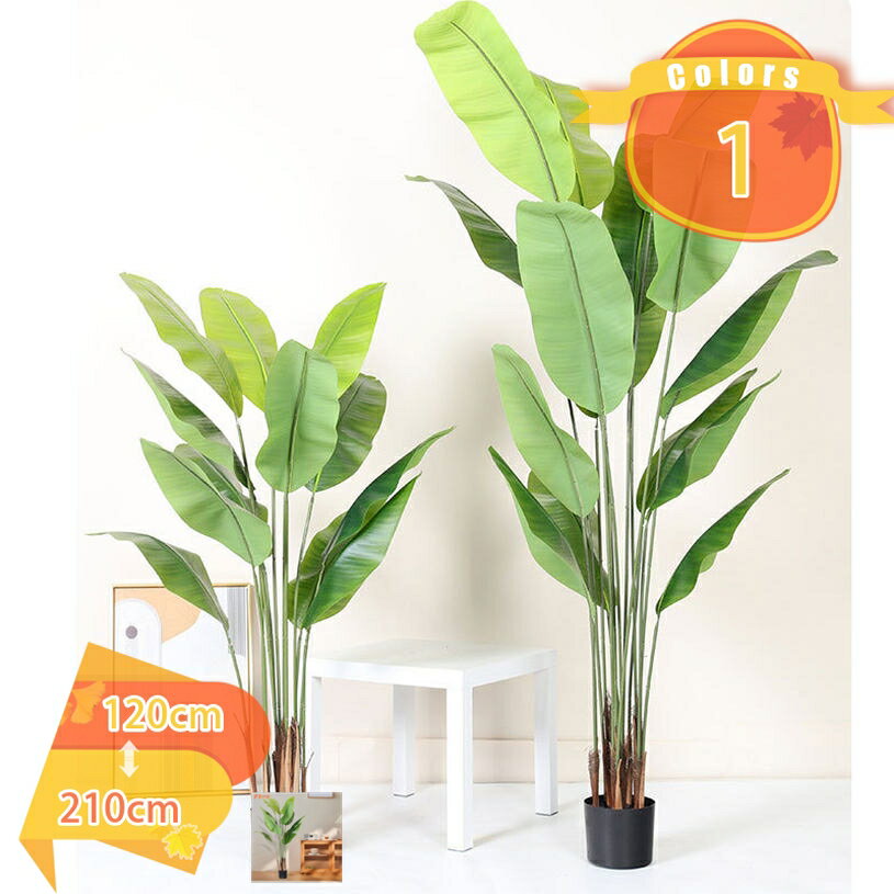 Rakuten - 500円OFFクーポン 観葉植物 ストレリチア・レギネ フェイクグリーン 鉢植え 癒し 大型 大さい 常緑樹 オフィス 室内 リビング 玄関 インテリア飾り 水やり不要 枯れない 害虫が発生しない 風水 開運 お洒落 多幸の木 ギフト 贈り物 引越し 新年 誕生日 クリスマス
