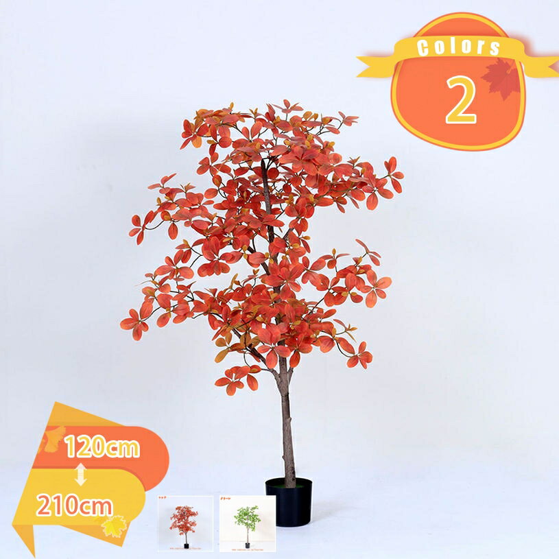 2000円OFFクーポン パキラ 観葉植物 人工樹木 本物そっくり 造花 大型 水やり不要 枯れない 幸福の木 フェイクグリーン インテリア飾り おしゃれ シンプル 風水 開運 感謝の木 室内 オフィス ギフト プレゼント 事業所 店舗 開店祝い 移転祝い fascimo