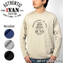 【SALEセール】MR.VAN ミスターヴァン 2023春夏 新作 プリント 長袖 Tシャツ / カットソー ロンT ロングスリーブ 長袖 コットン メンズ トップス カジュアル ブランド 父の日 敬老の日 ギフト プレゼント CUTSEW