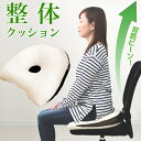 整体 クッション 背筋キープ 背筋が伸びる 猫背改善 正しい姿勢 約37×40cm 低反発 ネックセラピー 母の日 プレゼント 背筋ピーン 背筋が伸びて下腹もスッキリ 腰痛 猫背 対策 整体院 先生 勧めする クッション