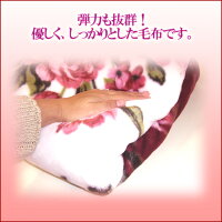 ふんわり柔らか【毛布】マイヤー毛布・1780円S・シングル・140X200cm【掛布団用・上質な毛布】毛足が長い・ふっくら柔らかい【最安値挑戦】発熱ヒート保温ホット温感あったか