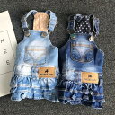 【期間限定5%OFF 1980円→1881円】犬 デニム 犬 服 ペット服 お散歩 お出かけ デニムスカート ドッグウェア ワンピース ペットウェア つなぎ ウ...