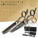 髪 前髪 セルフカット スキバサミ 散髪ケープ付き 散髪セット セニング シザー 10点セット ヘアカット すきバサミ カット ハサミ