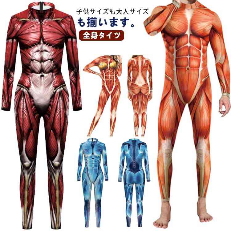 人体模型 全身タイツ コスチューム 全身 タイツ ハロウィン 全身 筋肉 子供 レディース 模型 筋肉模型 ..