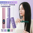 2way ミニヘアアイロン ストレートアイロン ヘアアイロンブラシ USB充電式 ストレート カール 前髪 乾湿両用 3段階