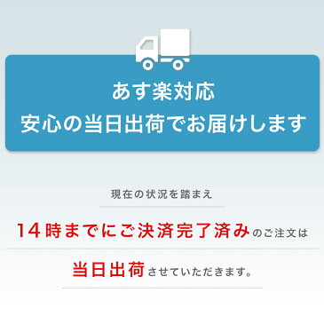 【14時までのご注文当日出荷】クーポン使用不可 あす楽 即納 4/20入荷分 不織布マスク 在庫あり 在庫有り 使い捨て マスク 50枚入り 簡易梱包 大人用 飛沫防止 ウィルス予防 風邪 花粉 三段プリーツ 普通サイズ