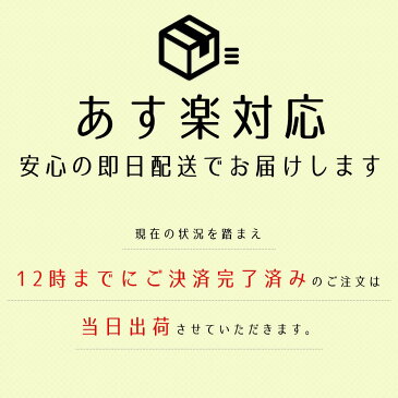 【14時までのご注文当日出荷】キッズマスク 子供用マスク あす楽 即納 4/24入荷分 不織布マスク 在庫あり 在庫有り 使い捨て マスク 10枚入り 簡易梱包 飛沫防止 ウィルス予防 風邪 花粉 三段プリーツ 子供サイズ　小さめ 通学 通園 幼稚園 小学生 小学校