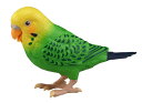 手間かからずペット インコ 毎日おしゃべり天才インコちゃん☆mini0083