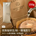 送料無料【大容量 完熟豆珈琲 ナチュラル×ライト】250g コーヒー豆 粉 ネパール 直営農園 自家焙煎 自家栽培 スペシャリティ USDA オーガニック 有機栽培 毎日2杯約30日分 フェアトレード