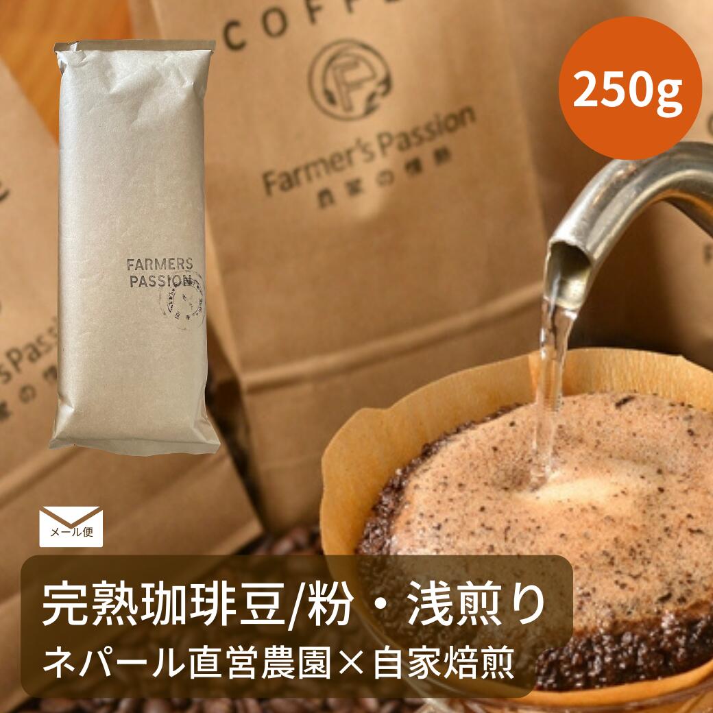 送料無料【大容量 完熟豆珈琲 ウォッシュド×アメリカン 250g 】コーヒー豆 粉 ネパール 直営農園 自家..