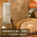 送料無料【大容量 完熟豆珈琲 ウォッシュド×アメリカン 250g コーヒー豆 粉 ネパール 直営農園 自家焙煎 自家栽培 シングルオリジン サステナビリティ スペシャリティ USDA オーガニック FarmersPassion