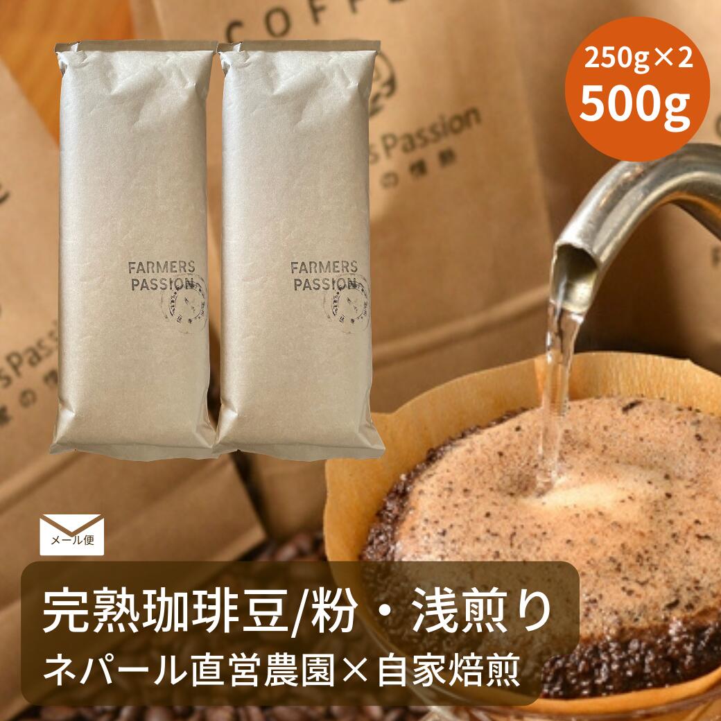 バレンタインギフト　浅煎り 500g コーヒー豆 粉 ネパール自家焙煎 自家栽培 シングルオリジン サステナビリティ スペシャリティ オーガニック Farmers Passion