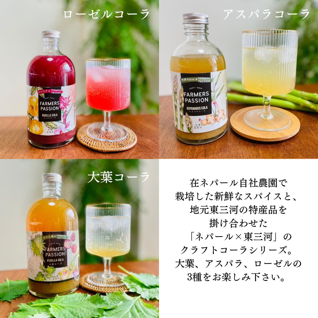 【マラソン限定★ポイント10倍】【3種のクラフトコーラギフト】お歳暮 父の日 お中元 誕生日プレゼント 無添加 ローゼル 紫蘇 大葉 300ml クラフトドリング スパイスコーラ オシャレギフト お洒落 オーガニック SDGs 東三河 漢方 アーユルベーダ