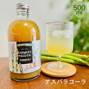 【アスパラコーラ】500ml クラフトコーラ 希釈ドリンク パーティー オシャレ ギフト