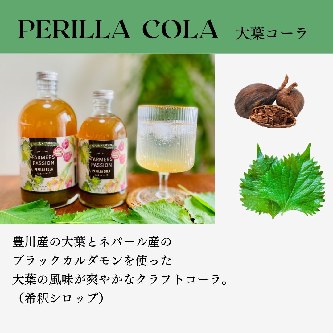 【大葉コーラ】500ml 希釈ドリンク クラフ...の紹介画像2