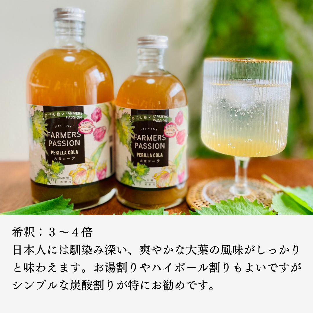 【大葉コーラ】500ml 希釈ドリンク クラフ...の紹介画像3