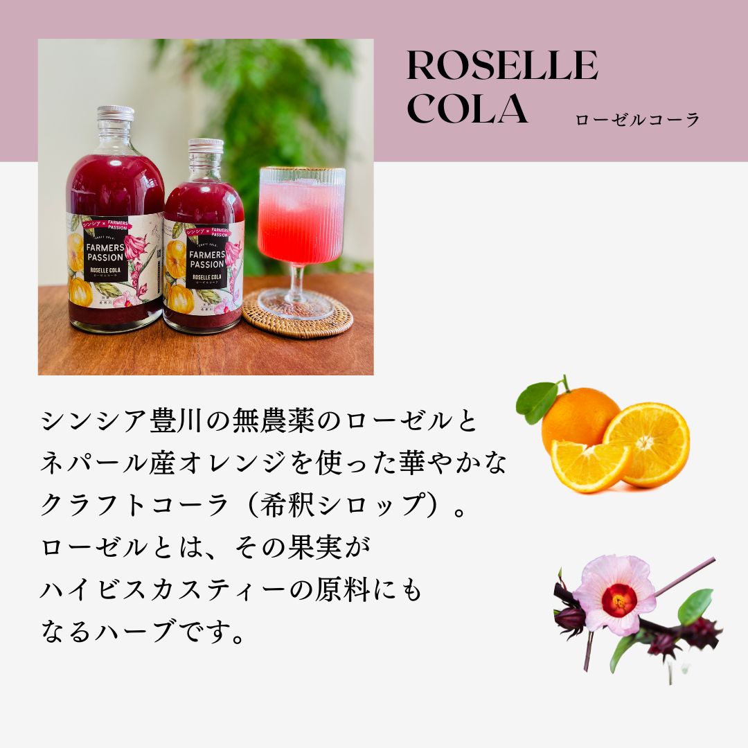 【ローゼルコーラ】300ml クラフトコーラ ...の紹介画像2