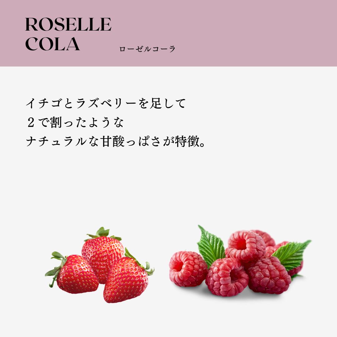 【ローゼルコーラ】300ml クラフトコーラ ...の紹介画像3