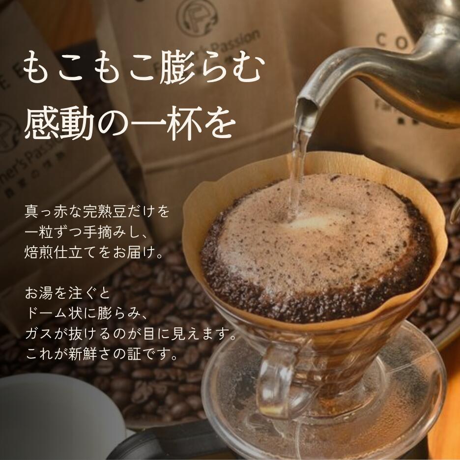 【父の日】コーヒー農園の完熟豆珈琲 3種 (各100g) 飲み比べギフトセット】300g 誕...