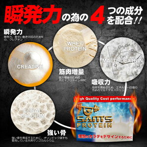サムズプロテインアスリート瞬発力パワープロテインUP1kg(約40回分)リッチココア味/ミックスフルーツ味