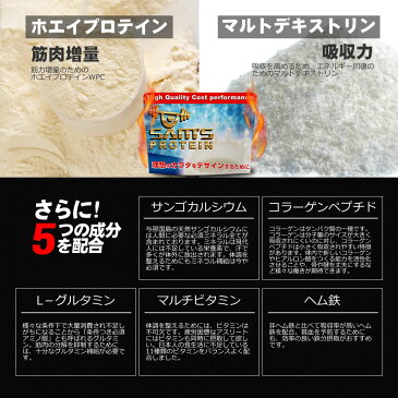 【訳あり アウトレット 賞味期限間近】 サムズ プロテイン アスリート 野球選手 ベースボール プロテイン UP 3kg（約120回分）ミックスフルーツ味