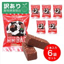 ハイクリアー プロテインバー mini BAR チョコ味 2本入り×6袋 ベイクドチョコ プロテイン 低糖質 手作り 女性 男性 子ども