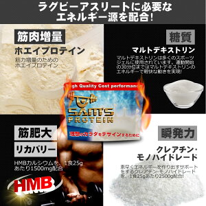 サムズプロテインアスリートラグビーパワープロテインUP1kg(約40回分)リッチココア味/ミックスフルーツ味