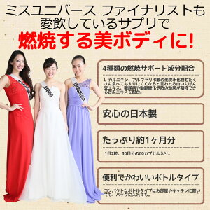 【送料無料】マイナス水素イオンサプリダイエットサプリメントL-カルニチンαリポ酸アルファリポ酸水素サプリたっぷり水素イオンハイドロゲン