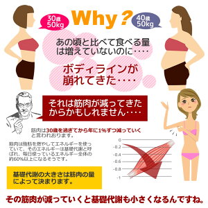 WASA-Vアサイーベリー&プロテインパワー栄養ダイエットドリンクジュース飲料たんぱく質カルシウムビタミン