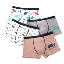 2枚セット ボクサーパンツ 男の子 キッズ 子供用 ショーツ アンダーウェア 下着 ジュニア 子供 インナー 入園 入学 送料無料 準備 かわいい 送料無料
