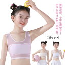 ブラ 肌着 メッシュ 極薄 ブラジャー ストレッチ ジュニア M インナー キッズブラ 通気性 蒸れにくい 子供 2点セット 女児 女の子 学生 シンプル S 伸縮性