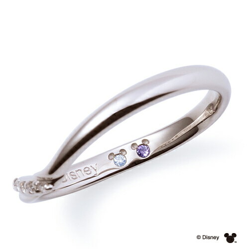 【ラッピング無料】【刻印無料】【ディズニーコレクション】 ディズニー プラチナ マリッジ リング 結婚指輪 隠れミッキーマウス ペアリング THE KISS ザキッス 指輪 誕生石 DI-7061104552-7061104562 セット シンプル 男性 女性 2個セット ザキス 秋