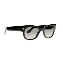 TOMFORD トムフォード サングラス TF58-01D POLARIZED Cary メンズ レディース 新品未使用品 ft58