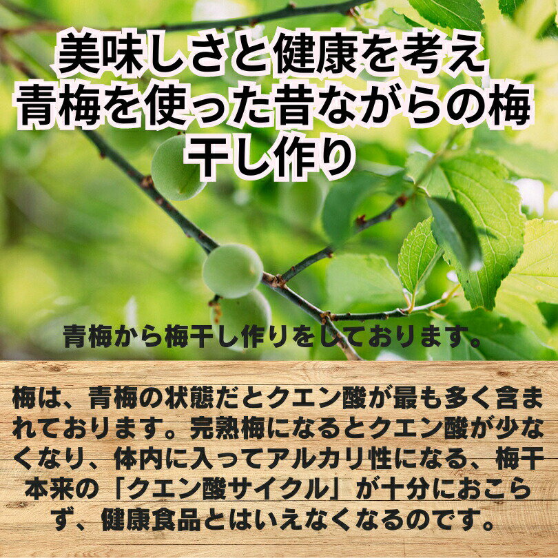 ζ���ߴ�(120g) �����Ի��ѡ��²λ����ߡ����ɻ���,���⤤,ŷ������,��ʬ��18��,�ե����ƥ�������ˤ������ᡣ������ �ߴ��� ̵����