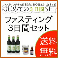 酵素ファスティング3日間セット【送料無料】【即日発送】【初心者でも安心のサポート付】