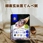 酵素玄米　黒テンペ粥　250g　回復食　ファスティング　グローリーインターナショナル　複食期　美味しいお粥　ダイエット　常備食　お粥