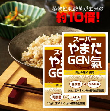 【2袋セット】【あす楽・送料無料】発芽玄米・発酵・乳酸菌豊富★スーパーやまだGEN氣★(健康食品/玄米が苦手なパパも喜ぶ発芽玄米)
