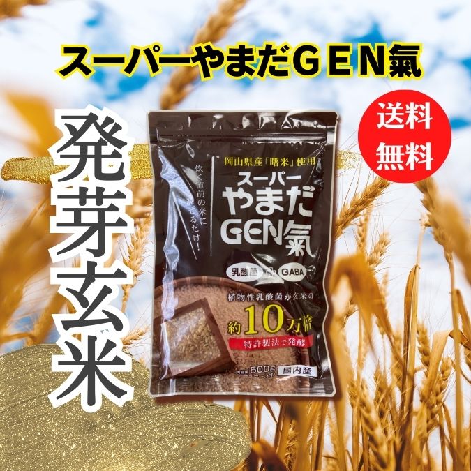 ˥塼󥹼 ѡޤGEN 25g2ȯڤϡѡޤ