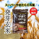 ニューサイエンス社 スーパーやまだGEN氣 （25g2個入）発酵の力　スーパーやまだ元気