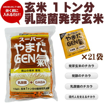 【あす楽・送料無料】発芽玄米・発酵・乳酸菌豊富★スーパーやまだGEN氣★(健康食品/玄米の苦手なお父さんも喜ぶ発芽玄米)