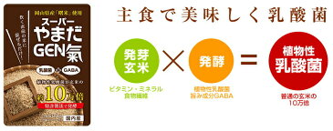 【あす楽・送料無料】発芽玄米・発酵・乳酸菌豊富★スーパーやまだGEN氣★(健康食品/玄米の苦手なお父さんも喜ぶ発芽玄米)