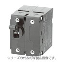 IDEC　NH1S-2100-5AA　NH1S形サーキットプロテクタ 電流引外し 2極 中速形　定格電流5A