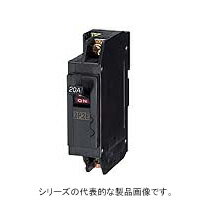 日東工業　NX51A 2P 15A　(2P1E)ノーヒューズ遮断機（