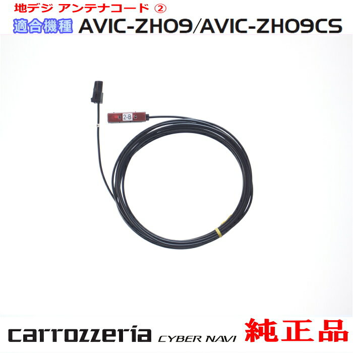 パイオニア カロッツェリア AVIC-ZH09C