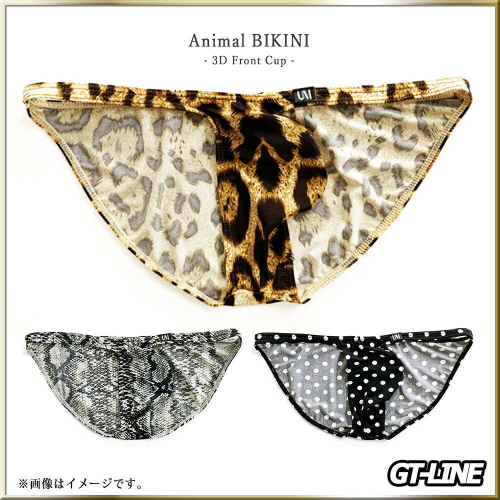 フロントポーチ ビキニ ヒョウ柄 レオパード柄 蛇柄 ドット柄 水玉 Gストリング ア...